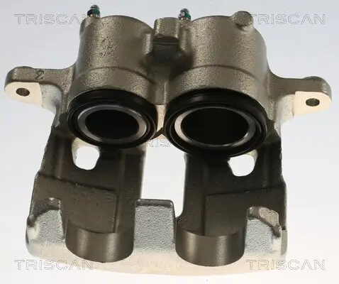 Bremssattel TRISCAN 8175 10137