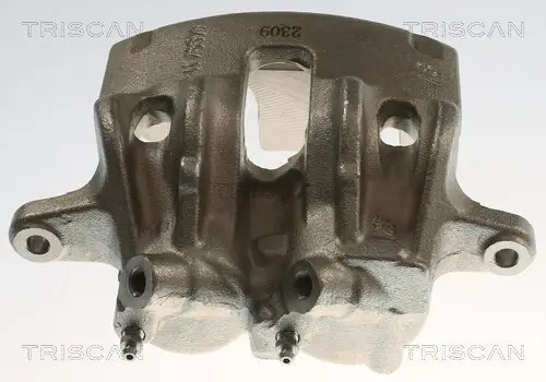 Bremssattel TRISCAN 8175 10137 Bild Bremssattel TRISCAN 8175 10137