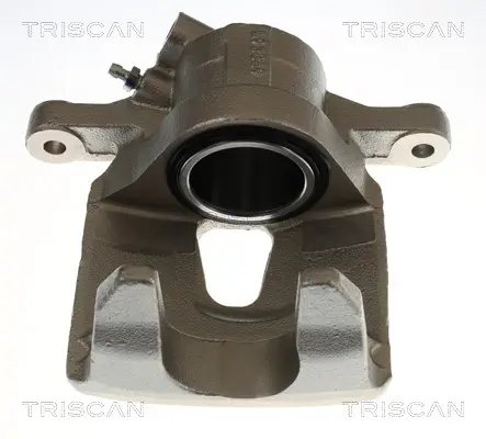 Bremssattel TRISCAN 8175 10139