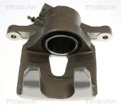 Bremssattel TRISCAN 8175 10139