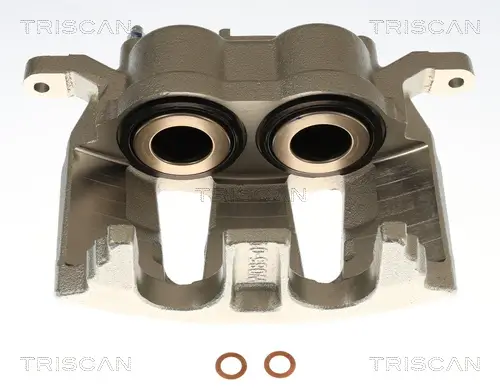 Bremssattel TRISCAN 8175 10141