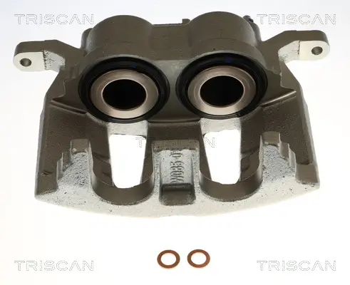 Bremssattel TRISCAN 8175 10142