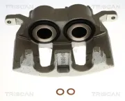 Bremssattel TRISCAN 8175 10142