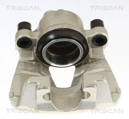 Bremssattel TRISCAN 8175 10153