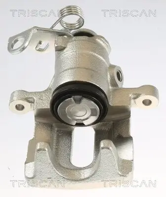 Bremssattel TRISCAN 8175 10201