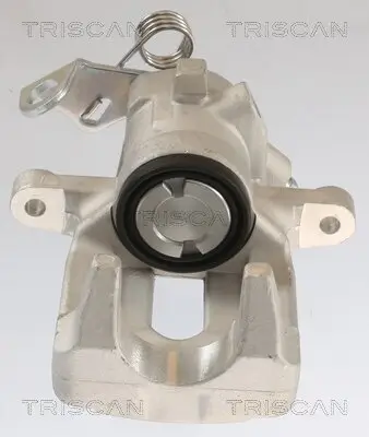 Bremssattel TRISCAN 8175 10217