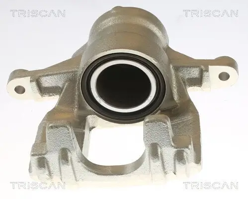 Bremssattel TRISCAN 8175 10219
