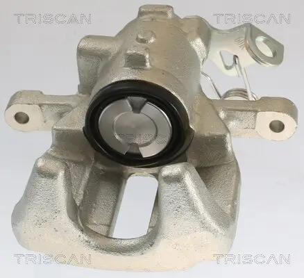 Bremssattel TRISCAN 8175 10224