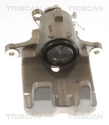 Bremssattel TRISCAN 8175 10225