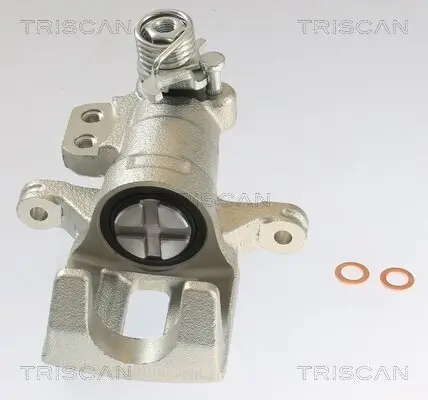 Bremssattel TRISCAN 8175 10228