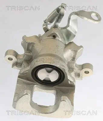 Bremssattel TRISCAN 8175 10236