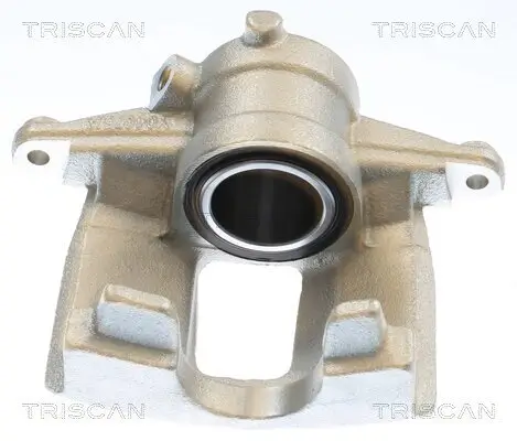 Bremssattel TRISCAN 8175 10241