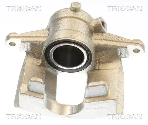 Bremssattel TRISCAN 8175 10242