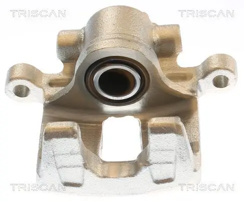 Bremssattel TRISCAN 8175 10243