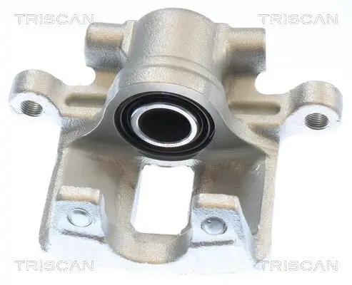 Bremssattel TRISCAN 8175 10245