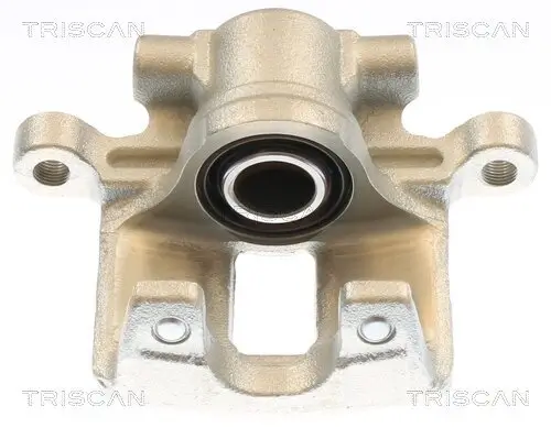 Bremssattel TRISCAN 8175 10246