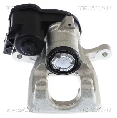 Bremssattel Hinterachse rechts TRISCAN 8175 10248