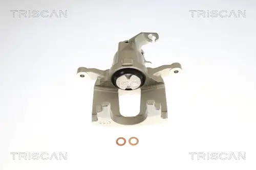 Bremssattel TRISCAN 8175 10250