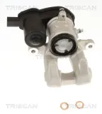 Bremssattel TRISCAN 8175 10251