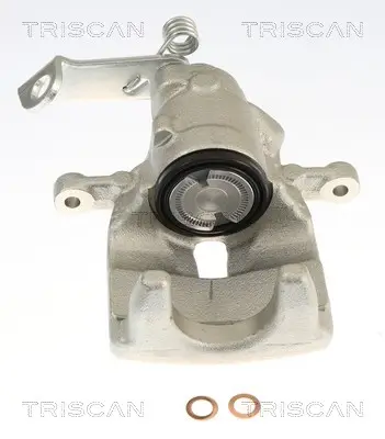 Bremssattel TRISCAN 8175 10257
