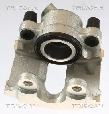 Bremssattel TRISCAN 8175 11102