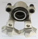 Bremssattel TRISCAN 8175 11109