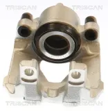 Bremssattel TRISCAN 8175 11128