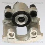 Bremssattel Hinterachse links TRISCAN 8175 11201