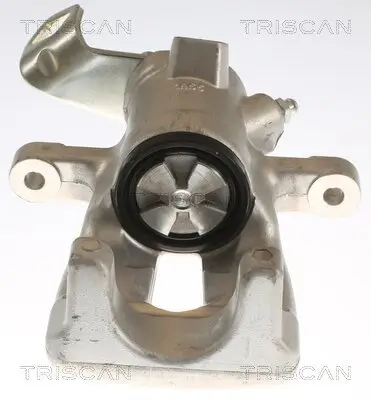 Bremssattel TRISCAN 8175 11209