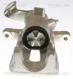 Bremssattel TRISCAN 8175 11209