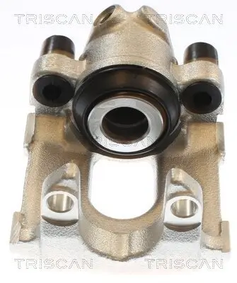 Bremssattel TRISCAN 8175 11223