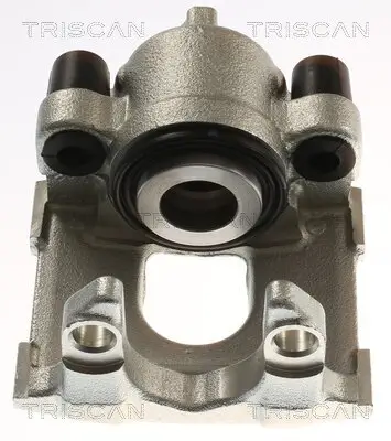 Bremssattel TRISCAN 8175 11230