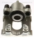 Bremssattel TRISCAN 8175 11230