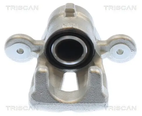 Bremssattel TRISCAN 8175 11231