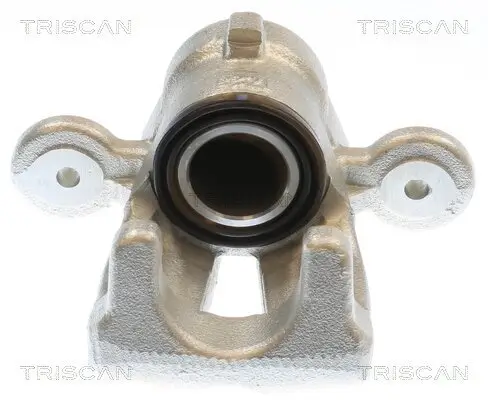 Bremssattel TRISCAN 8175 11232