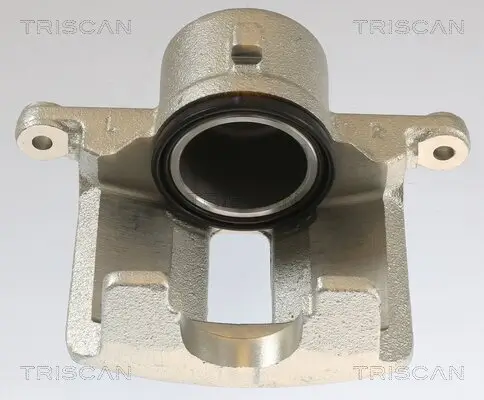 Bremssattel TRISCAN 8175 13102