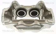 Bremssattel TRISCAN 8175 13105