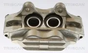 Bremssattel TRISCAN 8175 13107