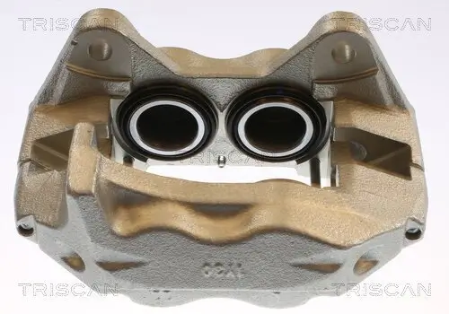 Bremssattel TRISCAN 8175 13115