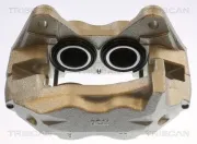 Bremssattel TRISCAN 8175 13116