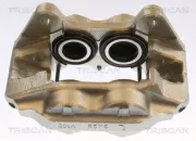 Bremssattel TRISCAN 8175 13117