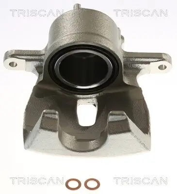 Bremssattel TRISCAN 8175 13128