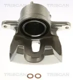 Bremssattel TRISCAN 8175 13128