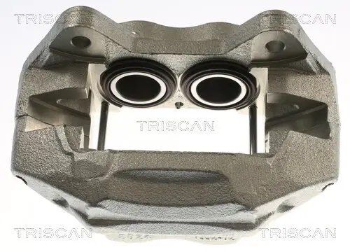 Bremssattel TRISCAN 8175 13132