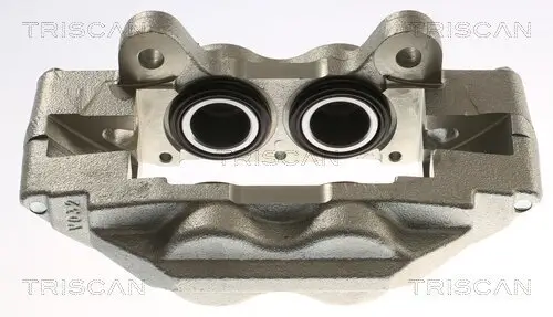 Bremssattel TRISCAN 8175 13143