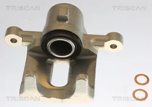 Bremssattel TRISCAN 8175 13203