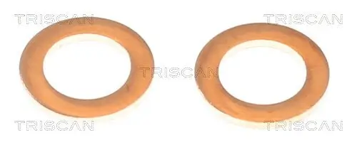 Bremssattel TRISCAN 8175 13207 Bild Bremssattel TRISCAN 8175 13207