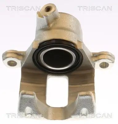 Bremssattel TRISCAN 8175 13226