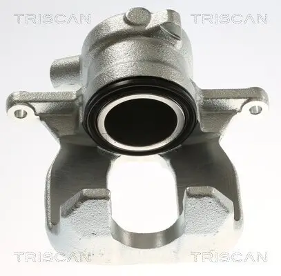 Bremssattel TRISCAN 8175 13238