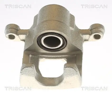 Bremssattel TRISCAN 8175 14103